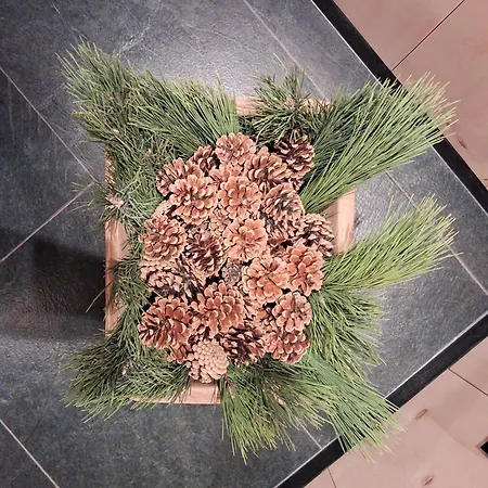 Larix Lägenhet Bormio